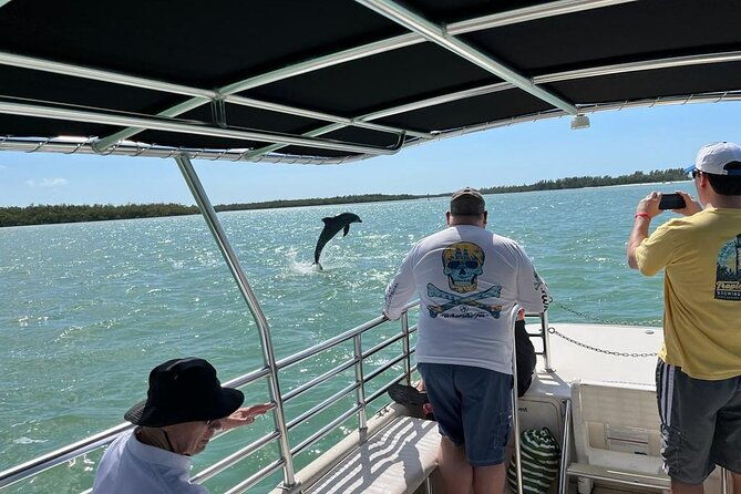 marco-island-dolphin-sightseeing-tour