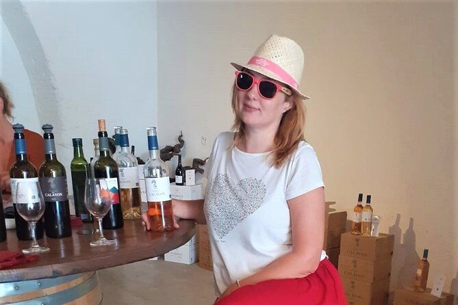 marseille-shore-excursion-full-day-wine-tour-in-provence