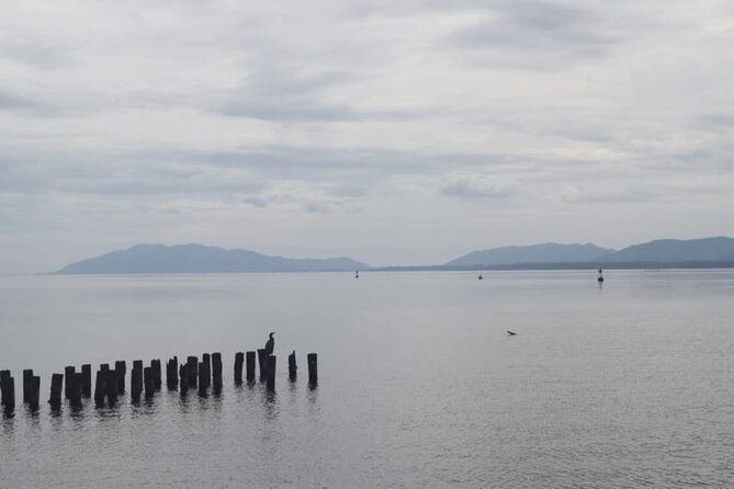 matsue-izumo-taisha-shrine-full-day-private-trip-with-government-licensed-guide