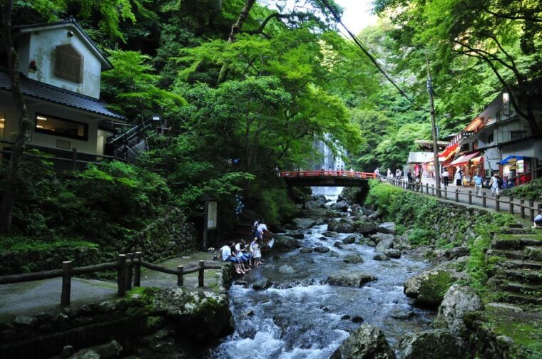 minoo-park-guided-nature-walk