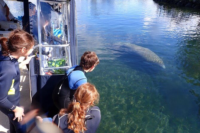 most-popular-3hr-manatee-swim-tour-in-water-guide