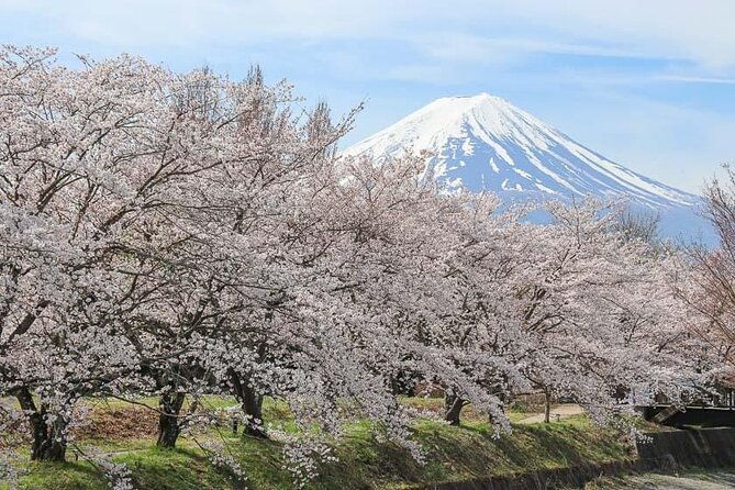 mount-fuji-customizable-one-day-private-guided-tour-from-tokyo-2
