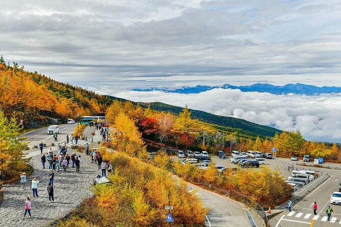 mount-fuji-customizable-private-tour-from-tokyo