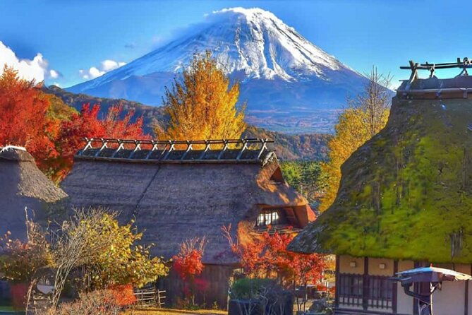 mount-fuji-day-tour-on-scenic-lakes-and-oshino-hakkai-adventure