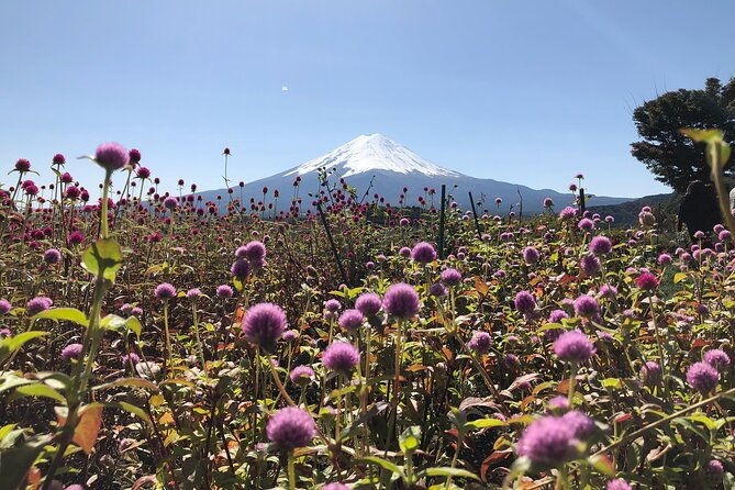 mount-fuji-full-day-sightseeing-tour-from-tokyo-2