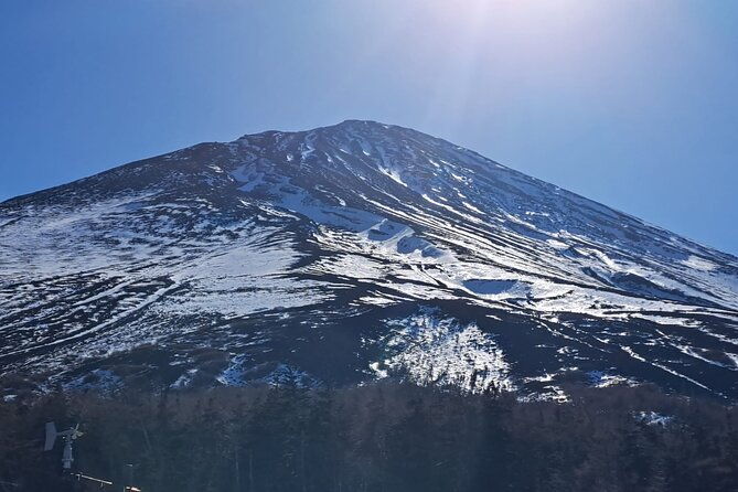 mount-fuji-mt-fuji-private-tour-by-car-with-pickup-from-tokyo
