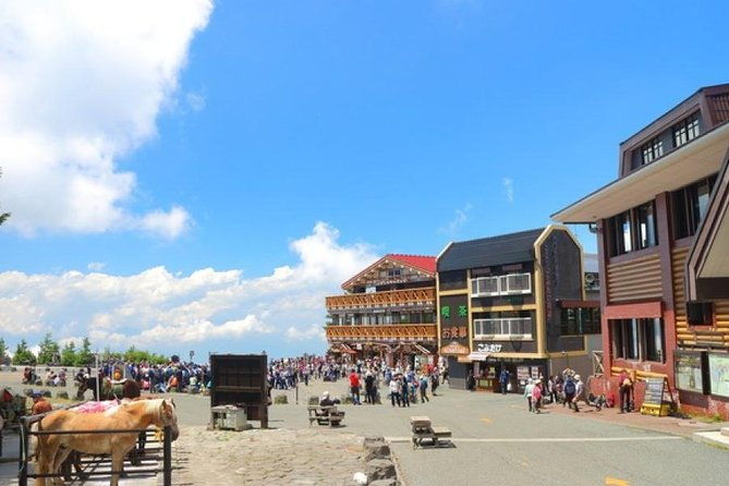 mt-fuji-5th-station-owakudani-ropeway-pirate-ship-plus-outlet-shopping