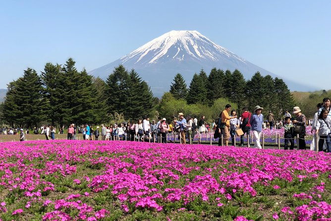 mt-fuji-and-gotemba-outlet-tour-from-tokyo