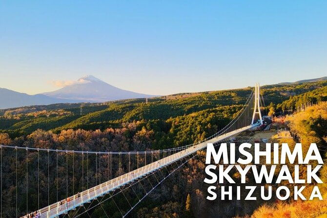 mt-fuji-and-hakone-private-tour-with-english-speaking-guide