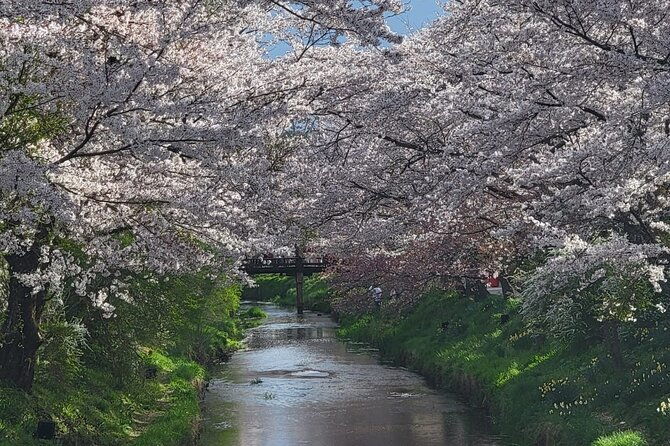 mt-fuji-and-lake-kawaguchi-day-trip-with-english-speaking-driver