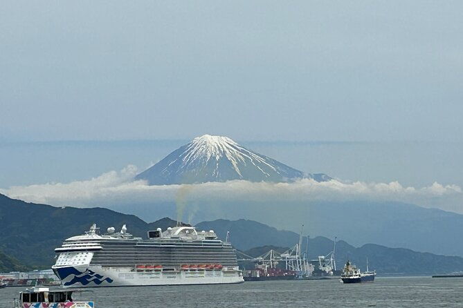 mt-fuji-area-tour-from-shimizu-port-sedan-taxi