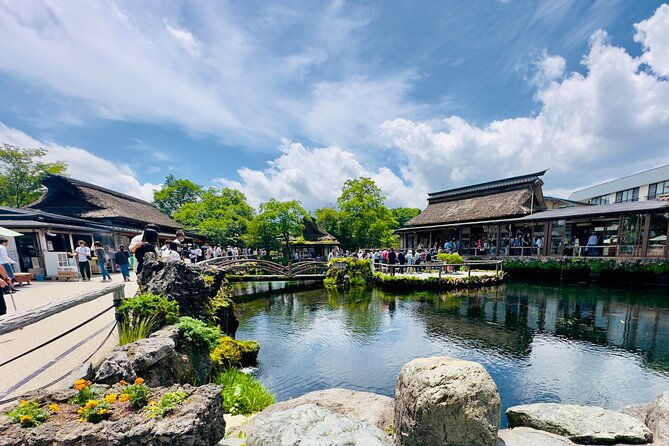 mt-fuji-cherry-blossom-day-tour-with-english-speaking-driver
