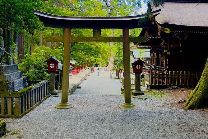 mt-fuji-cherry-blossom-one-day-private-tour-with-pickup