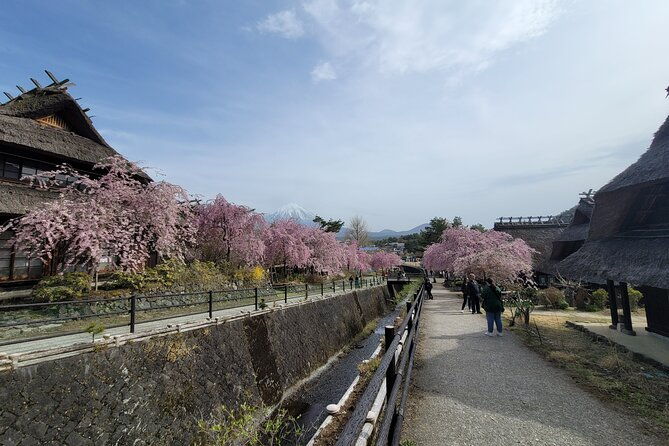 mt-fuji-day-tour-by-car-with-english-speaking-driver