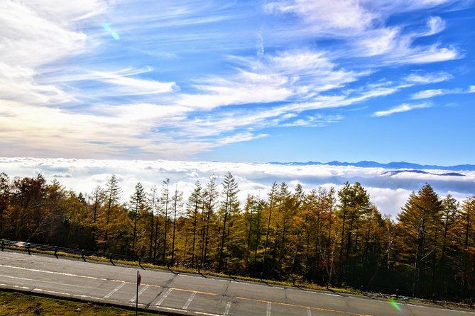 mt-fuji-day-trip-from-tokyo-by-car-with-photographer-guide