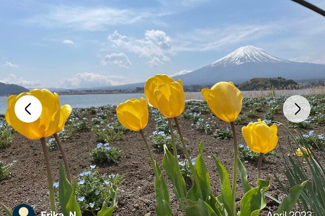 mt-fuji-hakone-full-day-private-tour-with-english-driver-guide