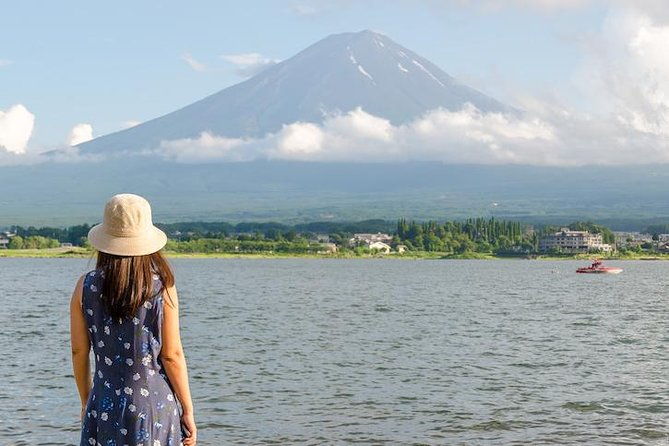 mt-fuji-hakone-private-day-tour-w-english-speaking-driver