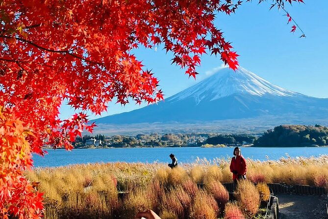 mt-fuji-hakone-private-day-tour-w-english-speaking-guide