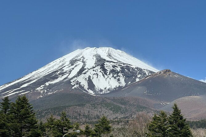 mt-fuji-hakone-private-tour-with-english-speaking-guide