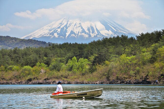mt-fuji-highlight-photo-spots-one-day-tour-from-tokyo