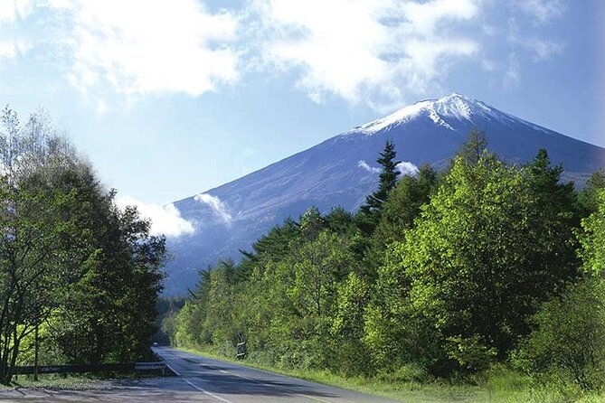 mt-fuji-oishi-park-arakurayama-sengen-park-bus-tour-from-tokyo