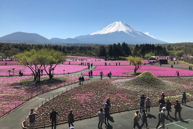 mt-fuji-plus-gotembatour-from-to-tokyoyokohama-2-12-guests