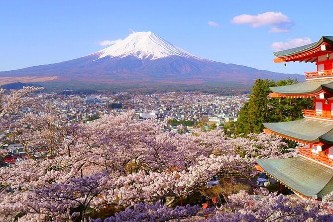 mt-fuji-private-car-tour-from-tokyo