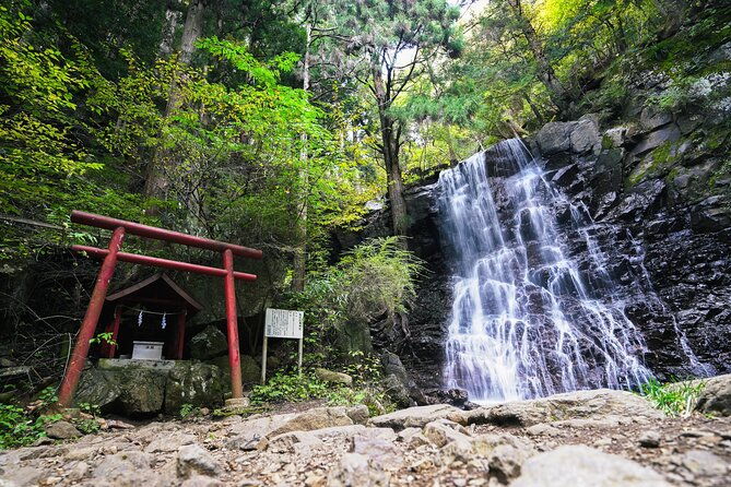 mt-fuji-private-chartered-tour-with-nature-wasabi-farm