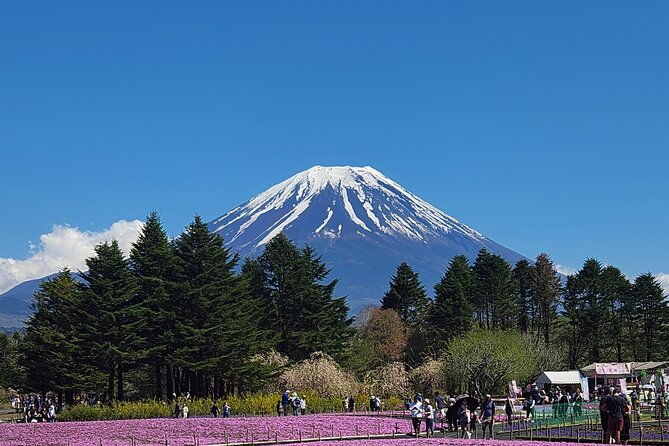 mt-fuji-private-day-tour-with-english-speaking-driver