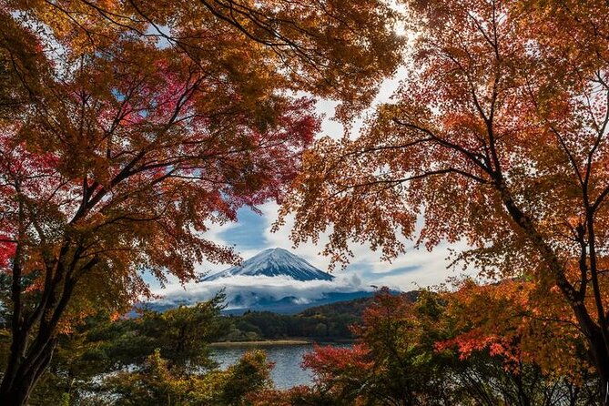 mt-fuji-private-tour-by-car-with-pick-up-from-tokyo