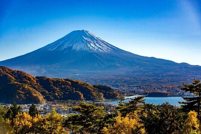 mt-fuji-private-tour-from-tokyo-with-english-guide