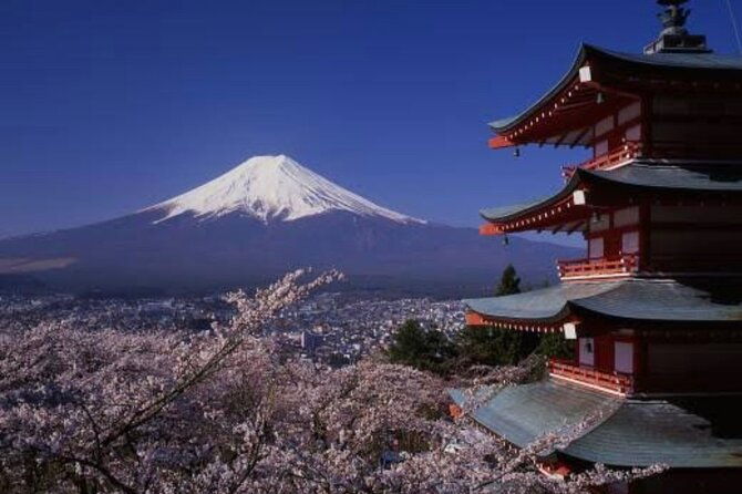 mt-fuji-private-tour-with-english-speaking-driver-3
