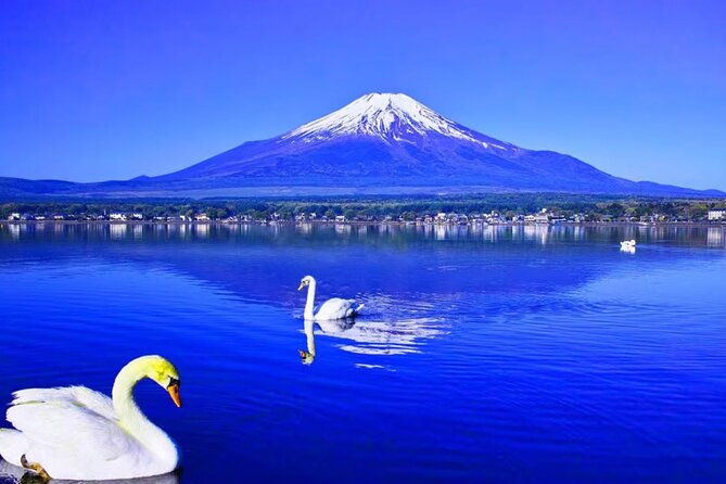 mt-fuji-to-lake-kawaguchi-lake-yamanaka-and-onsen-day-tour