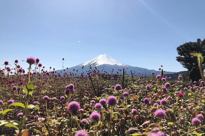 mt-fuji-with-kawaguchiko-lake-day-tour