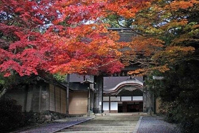 mt-koya-1-day-walking-tour-from-osaka