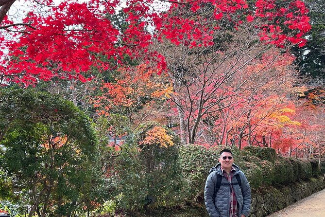 mt-koya-8hr-tour-from-osaka-english-speaking-driver-no-guide