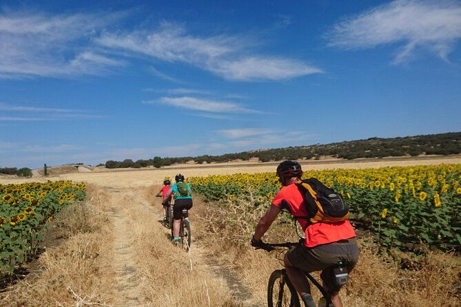 mtb-self-guided-setenil-de-las-bodegas-30km-easy