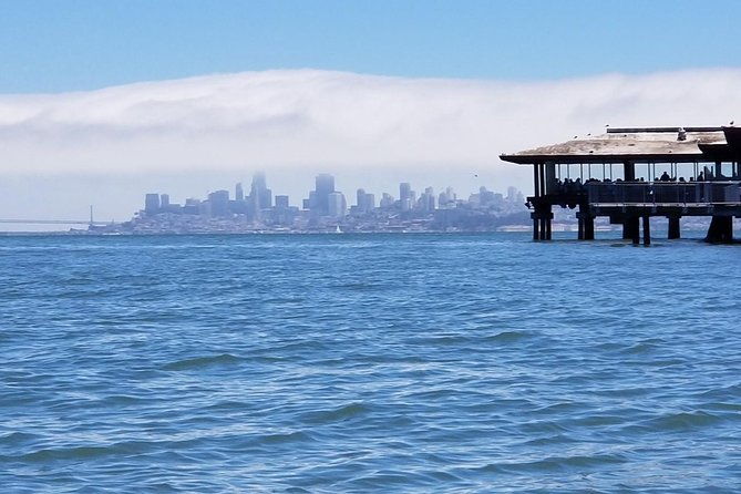 muir-woods-and-sausalito-morning-tour-small-group-half-day