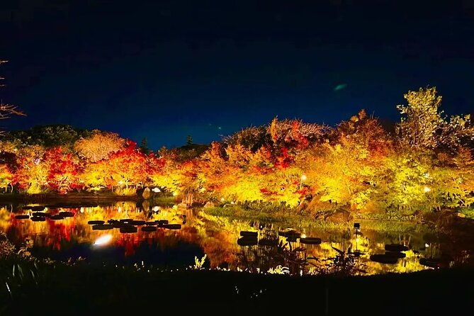 nagashima-mitsu-outlet-and-nabana-no-sato-winter-illumination