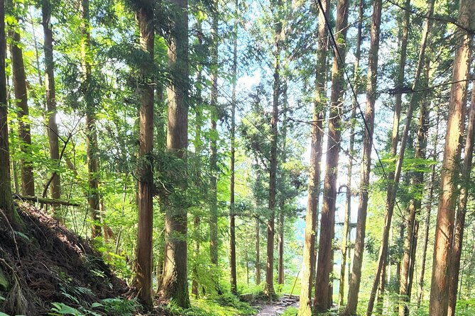 nakasendo-post-town-trekking-and-izakaya-hopping-tour