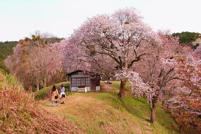 nara-day-trip-from-kyoto-with-a-local-private-personalized