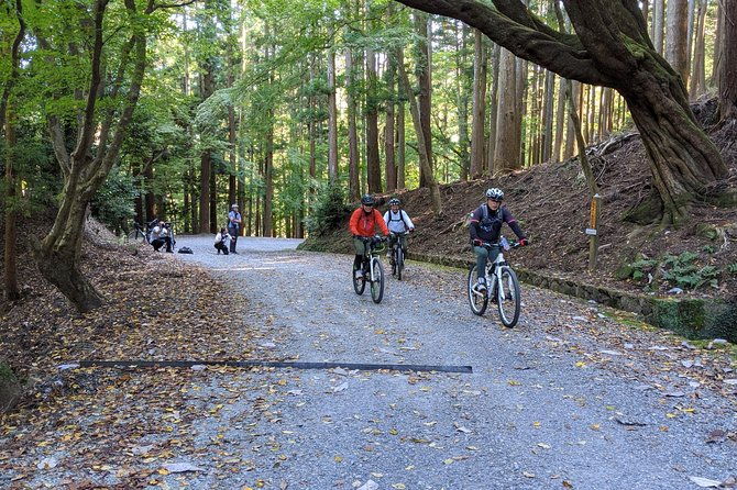 nara-heart-of-nature-bike-tour
