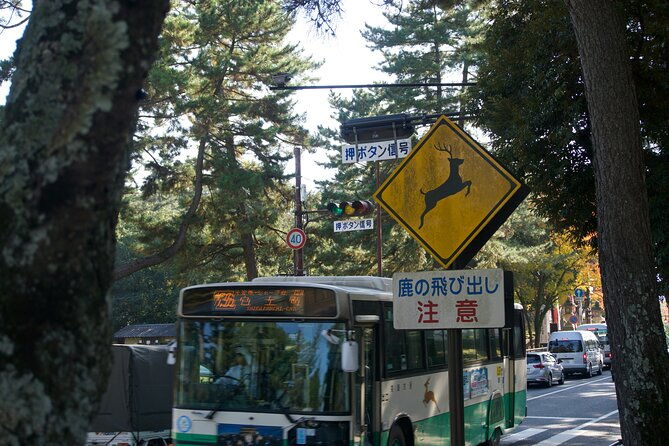 nara-heritage-walkabout-from-nara-park-to-todaji-temple
