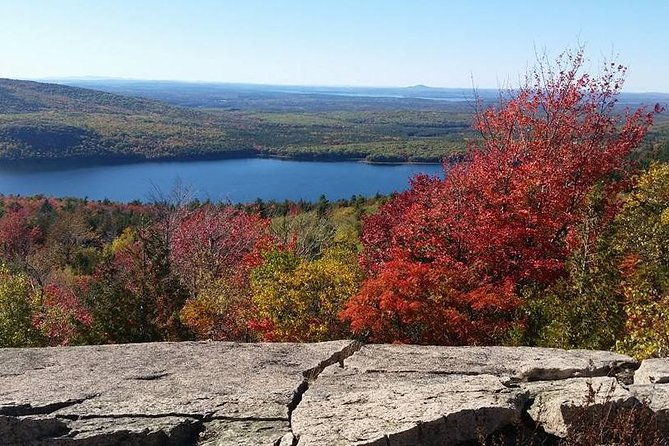 narrated-bus-tour-of-bar-harbor-and-acadia-national-park