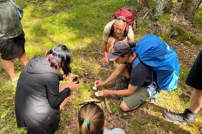 national-park-hike-finnish-smoke-sauna-experience-with-campfire-lunch