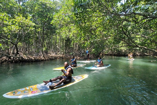nature-stand-up-paddle-boarding-experience-in-miami