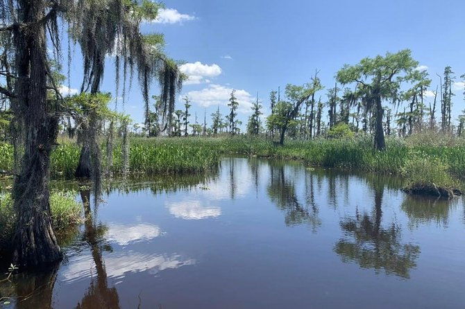 new-orleans-small-group-airboat-swamp-tour