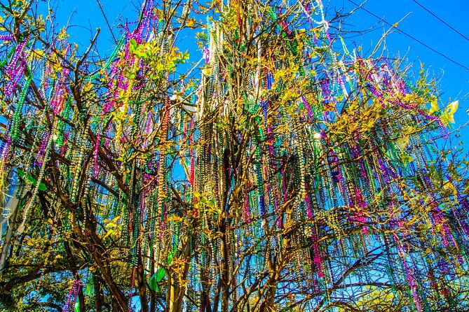 new-orleans-small-group-city-tour-by-van