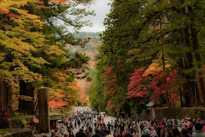 nikko-private-customizable-full-day-tour