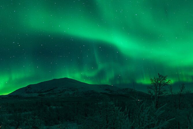 northern-lights-tour-from-kiruna-to-abisko-with-dinner